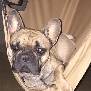 Meet your Posher, Andrea